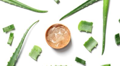 Aloes – najbardziej aktywna biologicznie roślina